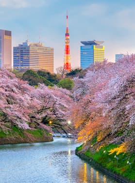 22462 ทัวร์ญี่ปุ่น วัน 3 คืน ZGNRT-2606VZ วัดอาซากุสะ ถนนนาคามิเซ คาวาโกเอะ ถนนคุระซึคุริ หอนาฬิกาโทคิโนะ 5 บิน VietJet Air