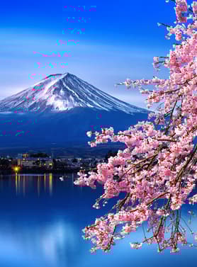 22467 ทัวร์ญี่ปุ่น วัน 3 คืน ZGNRT-2607VZ วัดอาซากุสะ ถนนนาคามิเซ หมู่บ้านโอชิโนะ ฮัคไค Fuji-Kawaguchiko Sakura Festival 5 บิน VietJet Air