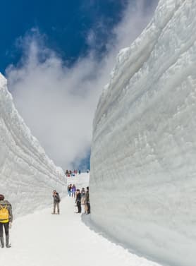 22506 ทัวร์ญี่ปุ่น วัน 4 คืน RJ-XJ115 JAPAN ALPS วัดเซ็นโซจิ สะพานกัปปะบาชิ เทศกาลฟูจิ ชิบะ ซากุระ 6 บิน ไทยแอร์เอเชียเอกซ์