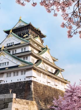 22510 ทัวร์ญี่ปุ่น วัน 3 คืน KIX61 วัดกินคะคุจิ ถนนสายนักปราชญ์ ปราสาทโอซาก้า EXPO 70 COMMEMORATIVE PARK 5 บิน ไทยแอร์เอเชียเอกซ์