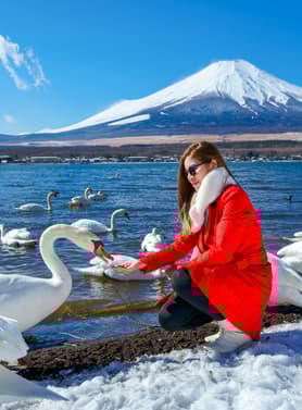 22541 ทัวร์ญี่ปุ่น วัน 4 คืน BT-NRT_S04_XJ เทศกาลคุมางายะ ซากุระ สึสึมิ เทศกาลประดับไฟซากามิโกะ ทะเลสาบยามานากาโกะ  ศาลเจ้าฟุจิซังเซนเงน 6 บิน ไทยแอร์เอเชียเอกซ์