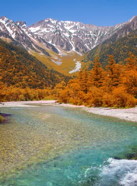 22554 ทัวร์ญี่ปุ่น วัน 4 คืน JPL-NGO-09 เทศกาลทุ่งดอกไม้ ฟูจิชิบะซากุระ หมู่บ้านโอชิโนะฮัคไค คามิโคจิ 7 บิน การบินไทย