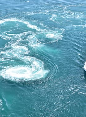 22558 ทัวร์ญี่ปุ่น วัน 4 คืน JPL-KIX-04 สวนคาเมยามะ สะพานคาซูระบาชิ ล่องเรือโอโบเกะยุรันเซ็น 7 บิน Japan Airlines