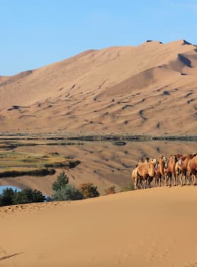 22623 ทัวร์จีน วัน 5 คืน DSNVZ0426 อุทยานหุบเขาคลื่น เขตท่องเที่ยวเจงกิสข่าน ทะเลสาบอูลานมู่หลุน ทุ่งหญ้าออร์ดอส 6 บิน VietJet Air