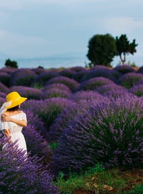 22640 ทัวร์ตุรเคีย วัน 7 คืน ZGIST-2608TK สุสานอตาเติร์ก ทะเลสาบเกลือ ทุ่งดอกลาเวนเดอร์ ปราสาทปุยฝ้าย 9 บิน Turkish Airlines