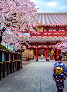 22649 ทัวร์ญี่ปุ่น วัน 4 คืน ชมเทศกาลดอกทิวลิป ชมซากุระ สวนซากามิโกะ หลวงพ่อโต ไดบุตสึ วัดอาซากุสะ (ซากุระ) 6 บิน ไทยแอร์เอเชียเอกซ์