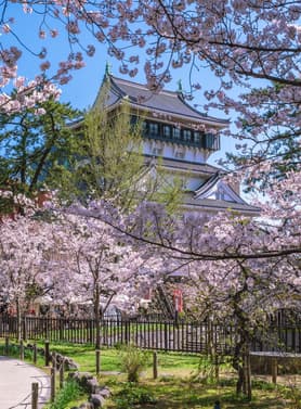 22677 ทัวร์ญี่ปุ่น วัน 3 คืน BT-FUK_S01_VZ ศาลเจ้าดาไซฟุ สวนดอก Wisteria ย่านชิโมโทริ ทุ่งหญ้าคุซะเซนริ 5 บิน VietJet Air