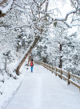 22706 ทัวร์จีน วัน 2 คืน MTWT260003 ภูเขาหว่าวู ตึกแฝด ไท่กู่หลี่ วัดต้าฉือ ชุนซีลู่ 3 บิน เฉิงตู แอร์ไลน์