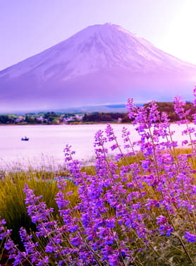 22733 ทัวร์ญี่ปุ่น วัน 3 คืน ZGHND-2623NH พระใหญ่ไดบุตซึ คามาคุระ หมู่บ้านโอชิโนะฮัคไค ศาลเจ้าทสึรุงะโอะกะ ฮะจิมังกู โออิชิ ปาร์ค 5 บิน All Nippon Airways