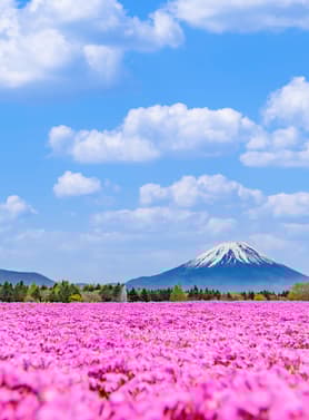 22810 ทัวร์ญี่ปุ่น วัน 4 คืน VN012 หมู่บ้านมรดกโลกชิราคาวาโกะ ถนนซันมาจิซูจิ สะพานนาคะบาชิ วัดคินคะคุจิ 6 บิน Vietnam Airlines