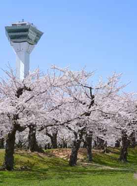 22834 ทัวร์ญี่ปุ่น วัน 3 คืน ZGCTS-2607VZ สวนสาธารณะโกเรียวคาคุ โกดังอิฐแดงริมน้ำ เนินฮาจิมันซากะ 5 บิน VietJet Air