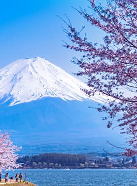 22836 ทัวร์ญี่ปุ่น วัน 4 คืน ZGNRT-2610VZ สวนฮิตาชิ ซีไซด์ ปาร์ค พระใหญ่อุชิคุ ไดบุตสึ Fuji-Kawaguchiko Sakura Festival 6 บิน ไทยเวียตเจ็ท
