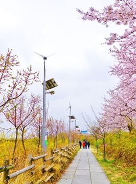 22863 ทัวร์เกาหลี วัน 3 คืน สะพานแขวนมาจัง ทะเลสาบซอกชน คาเฟ่ลับกลางป่า พระราชวังชางด็อกกุง 5 บิน Thai Lion Air