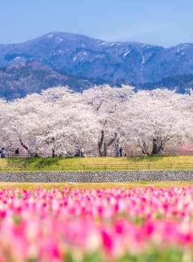 22881 ทัวร์ญี่ปุ่น วัน 4 คืน ZGNGO-2604SQ สวนอาซาฮีฟุนะกาว่า พระใหญ่ทากาโอกะ วัดคิโยมิสึ ตลาดปลาคุโรมง 7 บิน Singapore Airlines