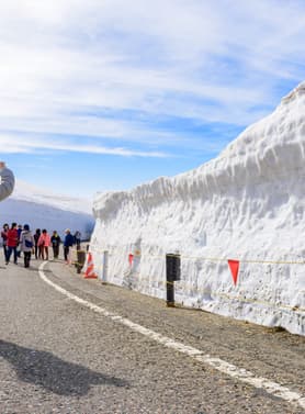 22921 ทัวร์ญี่ปุ่น วัน 4 คืน JPL-HND-05 คามิโคจิ พิงค์มอส เจแปนเอลป์ ชิจุกุ 7 บิน Japan Airlines