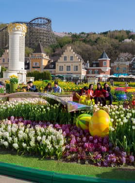 22929 ทัวร์เกาหลี วัน 3 คืน 3 คิน WEKR-SEORAKCB2026 อุทยานแห่งชาติซอรัคซาน วัดชินฮึงซา เอเวอร์แลนด์ธีมปาร์ค 5 บิน Air Busan