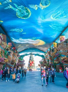 22995 ทัวร์ฮ่องกง วัน 2 คืน BT-HKG61_CX กระเช้าลอยฟ้านองปิง Chimelong Ocean Kingdom หาดทรายรีพัสล์เบย์ 3 บิน Cathay Pacific Airways