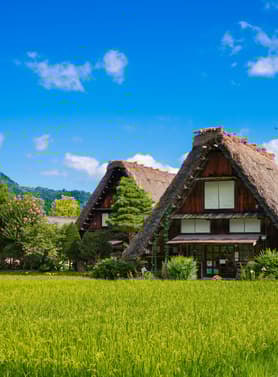 23005 ทัวร์ญี่ปุ่น วัน 4 คืน กำแพงหิมะ หมู่บ้านชิราคาวาโกะ สะพานนากะบาชิ ศาลเจ้าชิราฮิเงะ 6 บิน การบินไทย