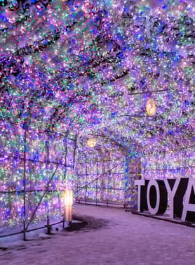 23010 ทัวร์ญี่ปุ่น วัน 4 คืน GO2CTS-TG077 พิพิธภัณฑ์แซลมอนชิโตเสะ หุบเขานรกจิโกกุดานิ LAKE TOYA LUMINATION 6 บิน การบินไทย