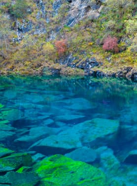 23024 ทัวร์จีน วัน 3 คืน TFUEU0726 ภูเขาสี่ดรุณี แพนด้ายักษ์ปีนตึก IFS วัดต้าฉือ 4 บิน เฉิงตู แอร์ไลน์