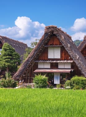 23040 ทัวร์ญี่ปุ่น วัน 4 คืน JTG292 วัดโทไดจิ Hakuba Iwatak Mountain Resort Gondoa lift 6 บิน การบินไทย