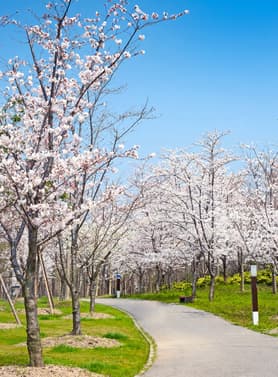 23053 ทัวร์จีน วัน 4 คืน SHFMPVG26 ถนนหวยไห่ ถนนอู่คัง ซินเทียนตี้ หอไข่มุก 5 บิน เซี่ยงไฮ้ แอร์ไลน์ 