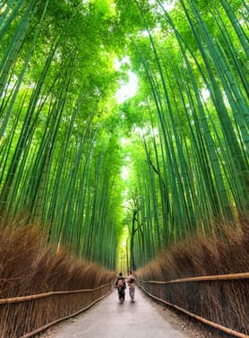 23058 ทัวร์ญี่ปุ่น วัน 3 คืน BT-KIX_S04_XJ ป่าไผ่อาราชิยาม่า สะพานโทเก็ตสึเคียว วัดคินคะคุจิ ศาลเจ้าฟูชิมิอินาริ 5 บิน ไทยแอร์เอเชียเอกซ์