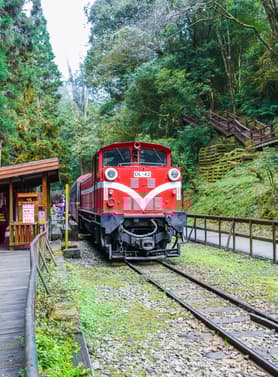 23130 ทัวร์ไต้หวัน วัน 4 คืน GO1CNXTPE-SL003 อุทยานแห่งชาติอาหลีซาน ถนนโบราณจิ่วเฟิ่น ตลาดซีเหมินติง 5 บิน Thai Lion Air