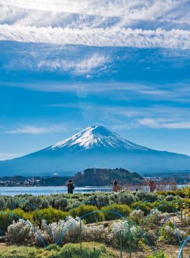 23161 ทัวร์ญี่ปุ่น วัน 3 คืน VZ013 ศาลเจ้าฮาโกเนะ สวนสาธารณะโออิชิ หุบเขาโอวาคุดานิ 5 บิน ไทยเวียตเจ็ท