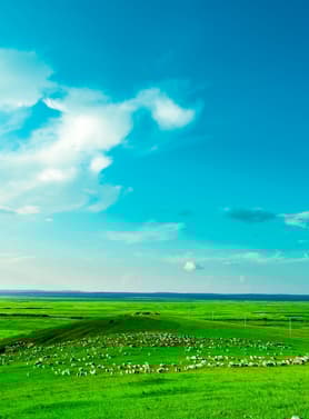 23257 ทัวร์จีน วัน 4 คืน 4 CVZ312 หุบเขาแม่น้ำหวงเหอ ทะเลทรายเสี่ยงชาวาน พิพิธภัณฑ์เงินมองโกล ทุ่งหญ้าเออร์ดอส 5 บิน ไทยเวียตเจ็ท