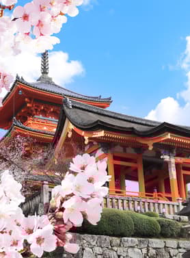 23259 ทัวร์ญี่ปุ่น วัน 3 คืน ศาลเจ้าฟูชิมิอินาริ ย่านซันมาชิซูจิ หมู่บ้านมรดกโลกชิราคาวาโกะ ย่านชินไชบาซิ 5 บิน ไทยเวียตเจ็ท