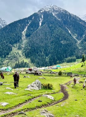 23276 ทัวร์ต่างประเทศ วัน 4 คืน ZGSXR-2601AI เทือกเขาโซนามาร์ค ธารน้ำแข็งกราเซีย สวนโมกุล พาฮาลแกรม 6 บิน Air India