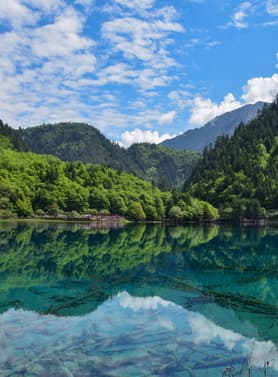 23301 ทัวร์จีน วัน 5 คืน T2G-TFU08TG อุทยานจิ่วจ้ายโกว อุทยานหวงหลง ถนนคนเดินจินหลี่ เมืองเก่าซงพาน 6 บิน การบินไทย