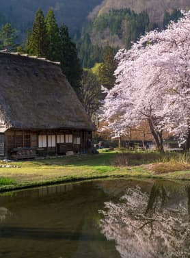 23317 ทัวร์ญี่ปุ่น วัน 3 คืน CXJKIX9 วัดนันเซ็นจิ ชิราคาวาโกะ สะพานนาคาบาชิ ถนนซันมาจิซูจิ 5 บิน ไทยแอร์เอเชียเอกซ์