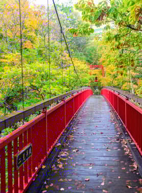 23327 ทัวร์ญี่ปุ่น วัน 3 คืน ZGCTS-2612VZ สวนฮิราโอกะ บ่อน้ำพุร้อนโจซังเค สะพานแขวนฟุตามิ พระใหญ่อะตามะ 5 บิน ไทยเวียตเจ็ท