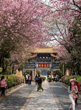 23344 ทัวร์จีน วัน 3 คืน TF-KMGKY06 สวนน้ำตกคุนหมิง ถนนคนเดินหนานผิง สวนลาวหยูเหอ Park1903 4 บิน Kunming Airlines