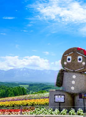 23350 ทัวร์ญี่ปุ่น วัน 3 คืน ZGCTS-2611VZ ฟาร์มโทมิตะ คลองโอตารุ  พิพิธภัณฑ์กล่องดนตรี ถนนซาไกมาชิ 5 บิน ไทยเวียตเจ็ท