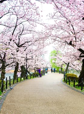 23392 ทัวร์ญี่ปุ่น วัน 4 คืน PJPNRT26-SL วัดอาซากุสะ ถนนนากามิเซะ หมู่บ้านน้ำใส โอชิโนะฮักไก สวนอุเอโนะ 6 บิน Thai Lion Air