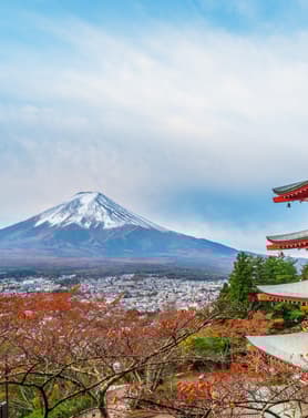 23481 ทัวร์ญี่ปุ่น วัน 3 คืน XJ352 สวนดอกไม้ จุดชมวิวทะเลสาบคาวากูจิโกะ ช้อปปิ้งไดเวอร์ซิตี้ 5 บิน ไทยแอร์เอเชียเอกซ์