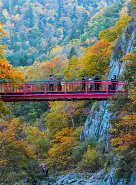 23518 ทัวร์ญี่ปุ่น วัน 4 คืน CTS68 หุบเขานรกจิโกคุดานิ ภูเขาไฟอุสุซาน สะพานแขวนฟูตามิ 6 บิน ไทยแอร์เอเชียเอกซ์