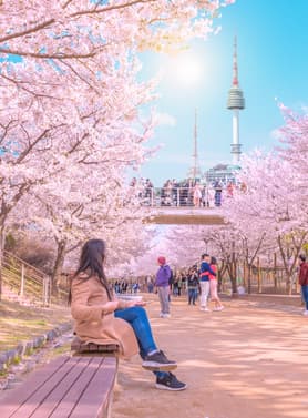 23559 ทัวร์เกาหลี วัน 3 คืน WEKR-SKSSB2026 เกาะนามิ อุทยานแห่งชาติซอรัคซาน เอเวอร์แลนด์ พระราชวังเคียงบกกุง 5 บิน T'way Airlines