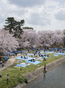 23667 ทัวร์ญี่ปุ่น วัน 4 คืน GO2NGO-TG084 หมู่บ้านชิราคาวาโกะ ทะเลสาบบิวะ  ตลาดปลาคุโรมง 6 บิน การบินไทย