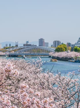 23769 ทัวร์ญี่ปุ่น วัน 4 คืน GO2NRT-TG099 สวนดอกไม้ฮามามัตสึ  หุบเขาโอวาคุดานิ ช้อปปิ้งชินไซบาชิ 6 บิน การบินไทย