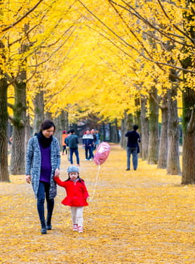 23785 ทัวร์เกาหลี วัน 4 คืน WDICN003 เกาะนามิ โซล ย่านฮงแด 5 บิน Air Busan