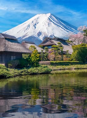 23807 ทัวร์ญี่ปุ่น วัน 3 คืน GO2HND-TG052 ชมวิวฟูจิ ริมทะเลสาบคาวากุจิโกะ อุโมงค์ใบเมเป้ิล โมมิจิ ไคโร ช้อปปิ้ง ถนนนากามิเสะ 6 บิน การบินไทย