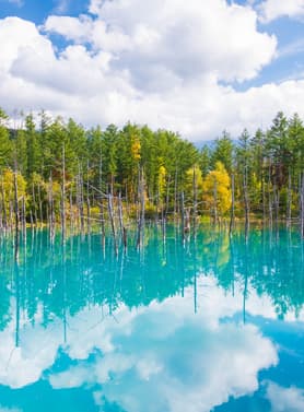 23818 ทัวร์ญี่ปุ่น วัน 4 คืน XJ356 เมืองโอตารุ  บ่อน้ำสีฟ้า น้ำตกชิราฮิเกะ 6 บิน ไทยแอร์เอเชียเอกซ์