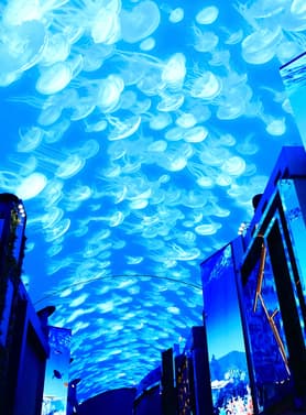 23887 ทัวร์เกาหลี วัน 2 คืน KBX67 ย่านฮงแด พระราชวังเคียงบก INSPIRE MEDIA ART 4 บิน Air Busan