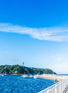 23910 ทัวร์ญี่ปุ่น วัน 3 คืน JXJ288X สวนโออิชิปาร์ค พระใหญ่คามาคุระ เกาะเอโนชิมะ อิสระท่องเที่ยวหนึ่งวัน 5 บิน ไทยแอร์เอเชียเอกซ์