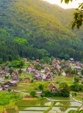 23916 ทัวร์ญี่ปุ่น วัน 4 คืน XJ354 หมู่บ้านชิราคาวาโกะ ถนนซันมาจิซูจิ ช้อปปิ้งชินไซบาชิ 6 บิน ไทยแอร์เอเชียเอกซ์