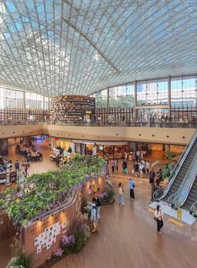 23961 ทัวร์เกาหลี วัน 4 คืน 60246 สวนสนุก Lotte World ปิคนิคสไตล์เกาหลีริมแม่น้ำฮัน ช้อปปิ้งตลาดเมียงดง 5 บิน T'way Airlines